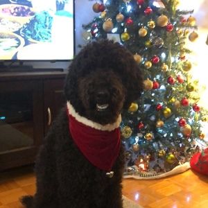 Meet your Posher, Léanne